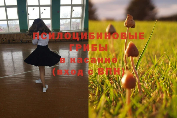 герыч Алзамай