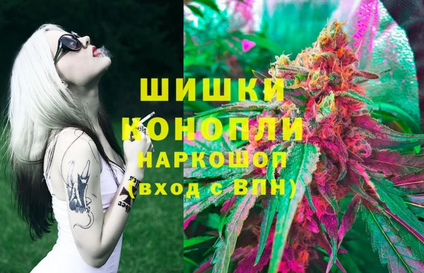 амф Алексин