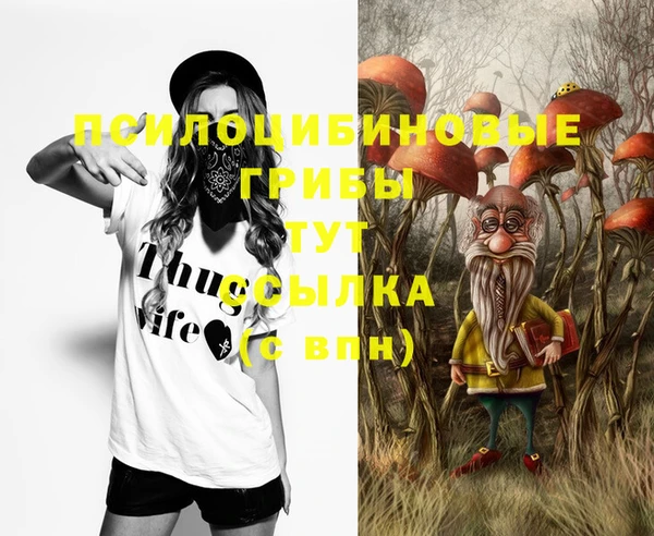 амф Алексин