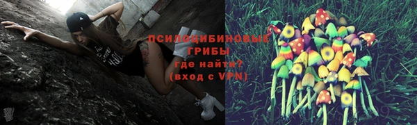 амф Алексин