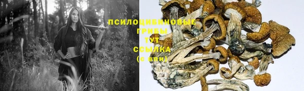 бутират Алексеевка