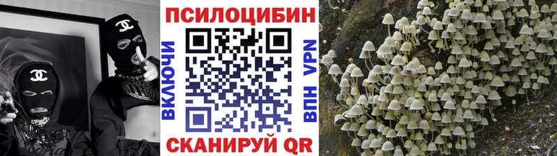 Галлюциногенные грибы Magic Shrooms  купить наркоту  Ленинск-Кузнецкий 