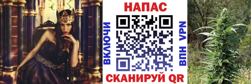 Бошки Шишки гибрид  Ленинск-Кузнецкий 